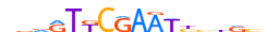 FIZ1.H14CORE.0.PSGI.A motif logo (FIZ1 gene, FIZ1_HUMAN protein)