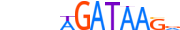 GATA6.H14CORE.0.PSM.A motif logo (GATA6 gene, GATA6_HUMAN protein)