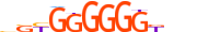 GLIS3.H14CORE.1.S.C motif logo (GLIS3 gene, GLIS3_HUMAN protein)