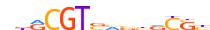 GMEB1.H14CORE.1.P.C motif logo (GMEB1 gene, GMEB1_HUMAN protein)