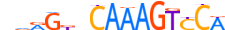 HNF4G.H14CORE.0.P.B motif logo (HNF4G gene, HNF4G_HUMAN protein)