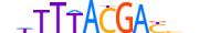 HXA11.H14CORE.1.SM.B motif logo (HOXA11 gene, HXA11_HUMAN protein)