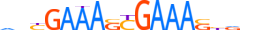 IRF2.H14CORE.0.PSM.A motif logo (IRF2 gene, IRF2_HUMAN protein)