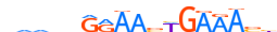 IRF4.H14CORE.0.P.B motif logo (IRF4 gene, IRF4_HUMAN protein)