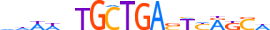 MAFK.H14CORE.0.PS.A motif logo (MAFK gene, MAFK_HUMAN protein)