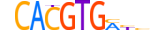 MLX.H14CORE.1.SM.B motif logo (MLX gene, MLX_HUMAN protein)