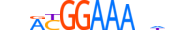 NFAC4.H14CORE.1.SM.B motif logo (NFATC4 gene, NFAC4_HUMAN protein)