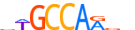 NFIB.H14CORE.1.PS.A motif logo (NFIB gene, NFIB_HUMAN protein)