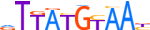 NFIL3.H14CORE.0.P.B motif logo (NFIL3 gene, NFIL3_HUMAN protein)