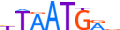 NKX61.H14CORE.1.P.B motif logo (NKX6-1 gene, NKX61_HUMAN protein)