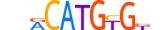 NPAS2.H14CORE.1.M.C motif logo (NPAS2 gene, NPAS2_HUMAN protein)