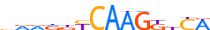 NR6A1.H14CORE.0.P.C motif logo (NR6A1 gene, NR6A1_HUMAN protein)
