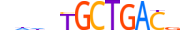 NRL.H14CORE.0.SM.B motif logo (NRL gene, NRL_HUMAN protein)