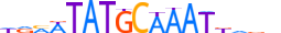 P5F1B.H14CORE.0.S.B motif logo (POU5F1B gene, P5F1B_HUMAN protein)
