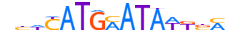 PO3F1.H14CORE.1.PS.A motif logo (POU3F1 gene, PO3F1_HUMAN protein)