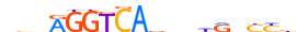 RARG.H14CORE.0.P.B motif logo (RARG gene, RARG_HUMAN protein)