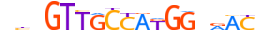 RFX1.H14CORE.1.PSM.A motif logo (RFX1 gene, RFX1_HUMAN protein)