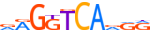 RXRG.H14CORE.0.P.B motif logo (RXRG gene, RXRG_HUMAN protein)