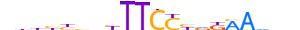 STAT1.H14CORE.0.P.B motif logo (STAT1 gene, STAT1_HUMAN protein)