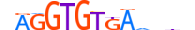 TBX21.H14CORE.0.PSM.A motif logo (TBX21 gene, TBX21_HUMAN protein)