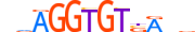TBX3.H14CORE.0.PSM.A motif logo (TBX3 gene, TBX3_HUMAN protein)
