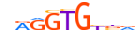 TBX5.H14CORE.0.PS.A motif logo (TBX5 gene, TBX5_HUMAN protein)