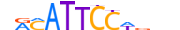 TEAD4.H14CORE.0.PS.A motif logo (TEAD4 gene, TEAD4_HUMAN protein)