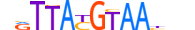 TEF.H14CORE.0.SM.B motif logo (TEF gene, TEF_HUMAN protein)