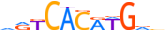TFEB.H14CORE.1.P.C motif logo (TFEB gene, TFEB_HUMAN protein)