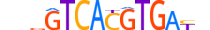 TFEC.H14CORE.0.M.B motif logo (TFEC gene, TFEC_HUMAN protein)