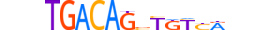 TGIF1.H14CORE.1.S.B motif logo (TGIF1 gene, TGIF1_HUMAN protein)