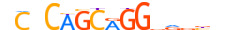 ZIC3.H14CORE.0.P.B motif logo (ZIC3 gene, ZIC3_HUMAN protein)