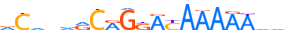 ZN878.H14CORE.0.PS.A motif logo (ZNF878 gene, ZN878_HUMAN protein)