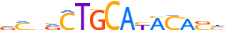 ZNF66.H14CORE.0.PG.A motif logo (ZNF66 gene, ZNF66_HUMAN protein)