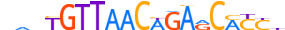 ZSC16.H14CORE.0.PSM.A motif logo (ZSCAN16 gene, ZSC16_HUMAN protein)