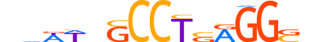 AP2C.H14INVITRO.0.PSM.A motif logo (TFAP2C gene, AP2C_HUMAN protein)