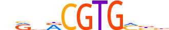ARNT2.H14INVITRO.1.P.B motif logo (ARNT2 gene, ARNT2_HUMAN protein)