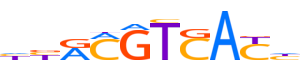 ATF3.H14INVITRO.1.P.B reverse-complement motif logo (ATF3 gene, ATF3_HUMAN protein)