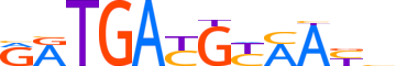 ATF3.H14INVITRO.2.P.B motif logo (ATF3 gene, ATF3_HUMAN protein)