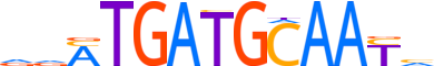 ATF4.H14INVITRO.0.P.B motif logo (ATF4 gene, ATF4_HUMAN protein)