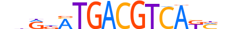ATF4.H14INVITRO.2.SM.B motif logo (ATF4 gene, ATF4_HUMAN protein)