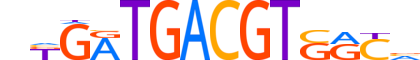 ATF6B.H14INVITRO.0.SM.B motif logo (ATF6B gene, ATF6B_HUMAN protein)