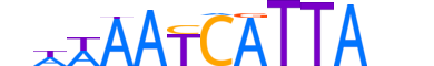 BARX2.H14INVITRO.0.SM.B motif logo (BARX2 gene, BARX2_HUMAN protein)