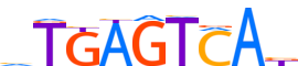 BATF3.H14INVITRO.1.P.B reverse-complement motif logo (BATF3 gene, BATF3_HUMAN protein)