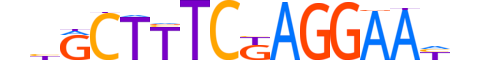BCL6.H14INVITRO.0.PSM.A motif logo (BCL6 gene, BCL6_HUMAN protein)