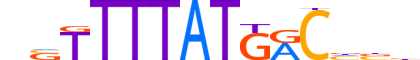 CDX4.H14INVITRO.0.S.C motif logo (CDX4 gene, CDX4_HUMAN protein)