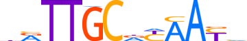 CEBPD.H14INVITRO.0.P.B motif logo (CEBPD gene, CEBPD_HUMAN protein)