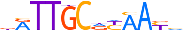 CEBPG.H14INVITRO.0.P.B motif logo (CEBPG gene, CEBPG_HUMAN protein)