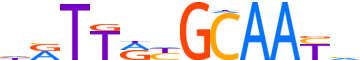 CEBPG.H14INVITRO.0.P.B reverse-complement motif logo (CEBPG gene, CEBPG_HUMAN protein)