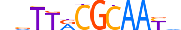 CEBPG.H14INVITRO.1.SM.B reverse-complement motif logo (CEBPG gene, CEBPG_HUMAN protein)